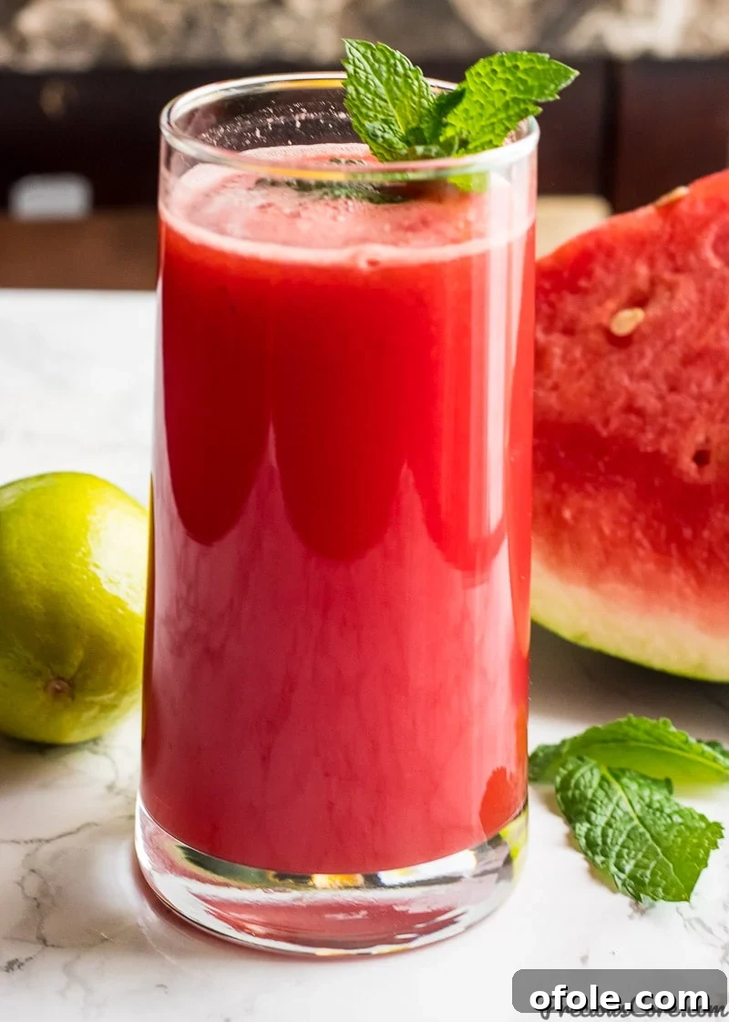 Watermelon Mint Cooler 2 Refreshing Watermelon Mint Juice Recipe