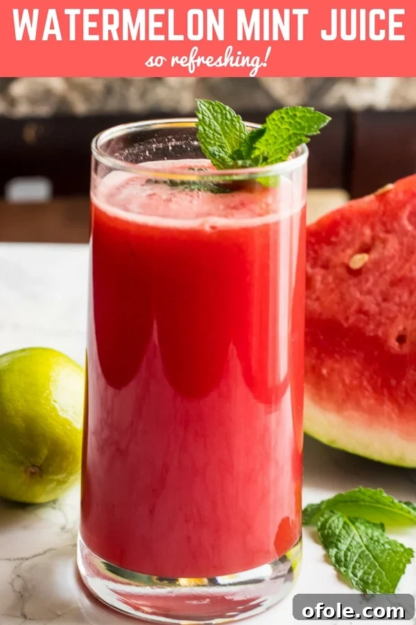 Watermelon Mint Cooler 5 Glass of vibrant red Watermelon Mint Juice with fresh mint leaves.