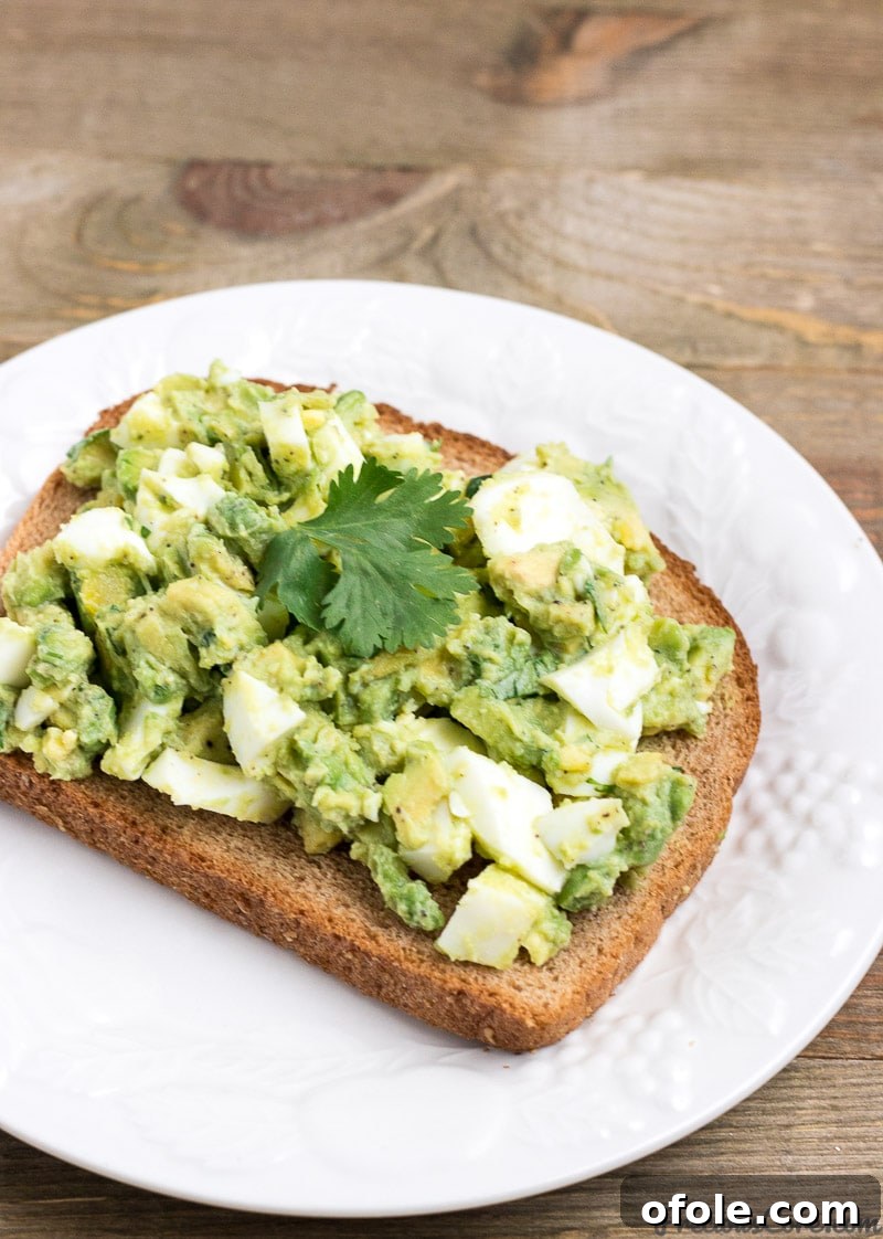 Lush Avocado Egg Salad 2 Avocado Egg Salad Served on whole Wheat Toast