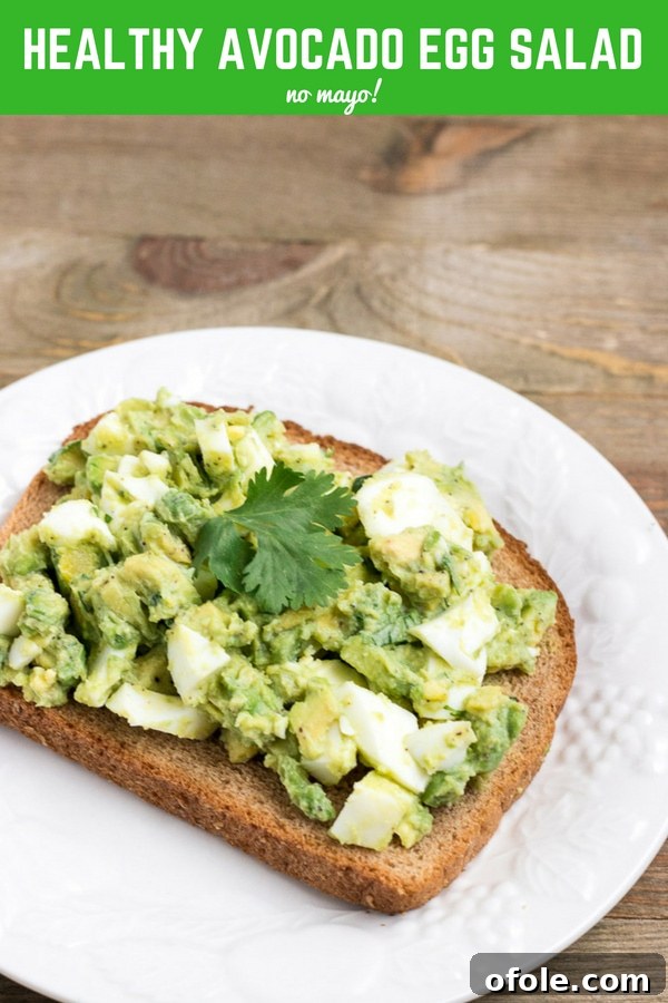 Lush Avocado Egg Salad 9 Mayo-free Avocado Egg Salad spread on toast.
