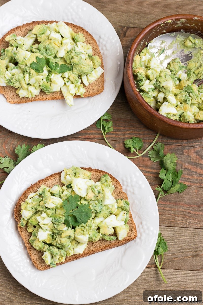 Lush Avocado Egg Salad 5 Breakfast Avocado Egg Salad