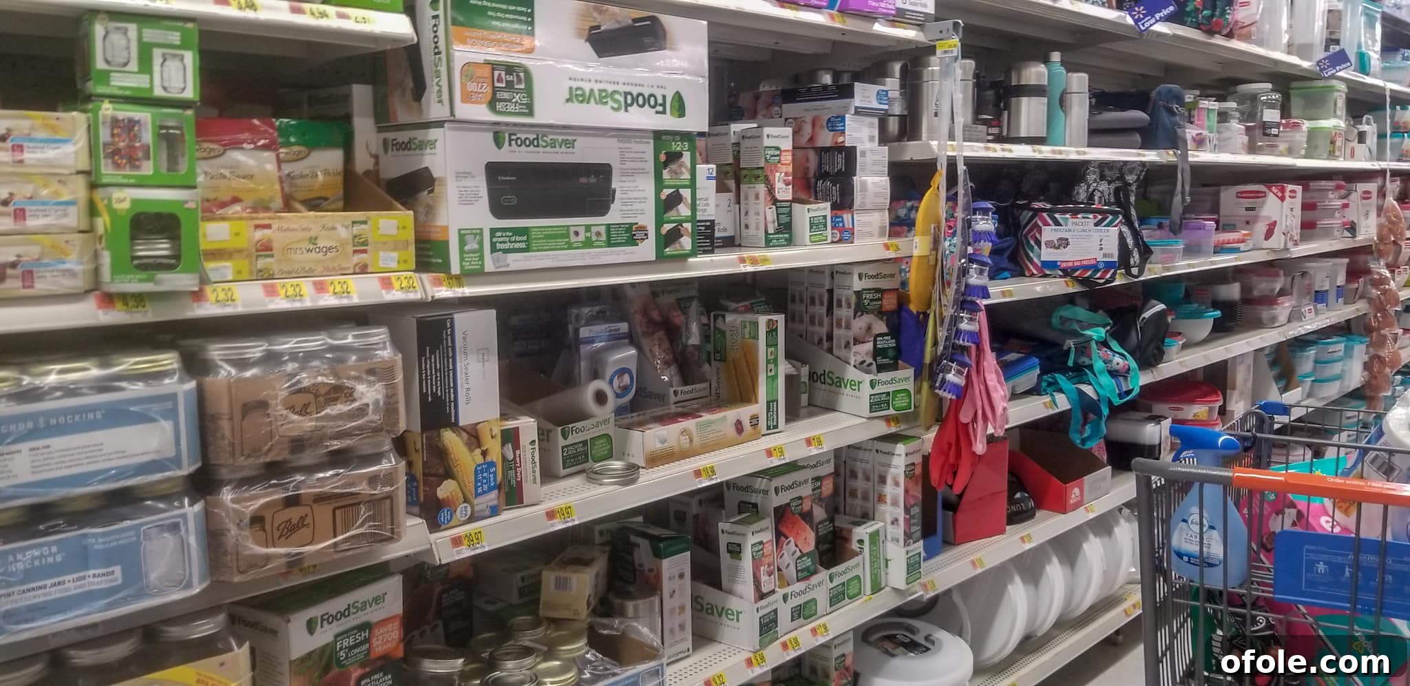 One Pan Beef Stir Fry 13 Walmart shelves filled with FoodSaver products.
