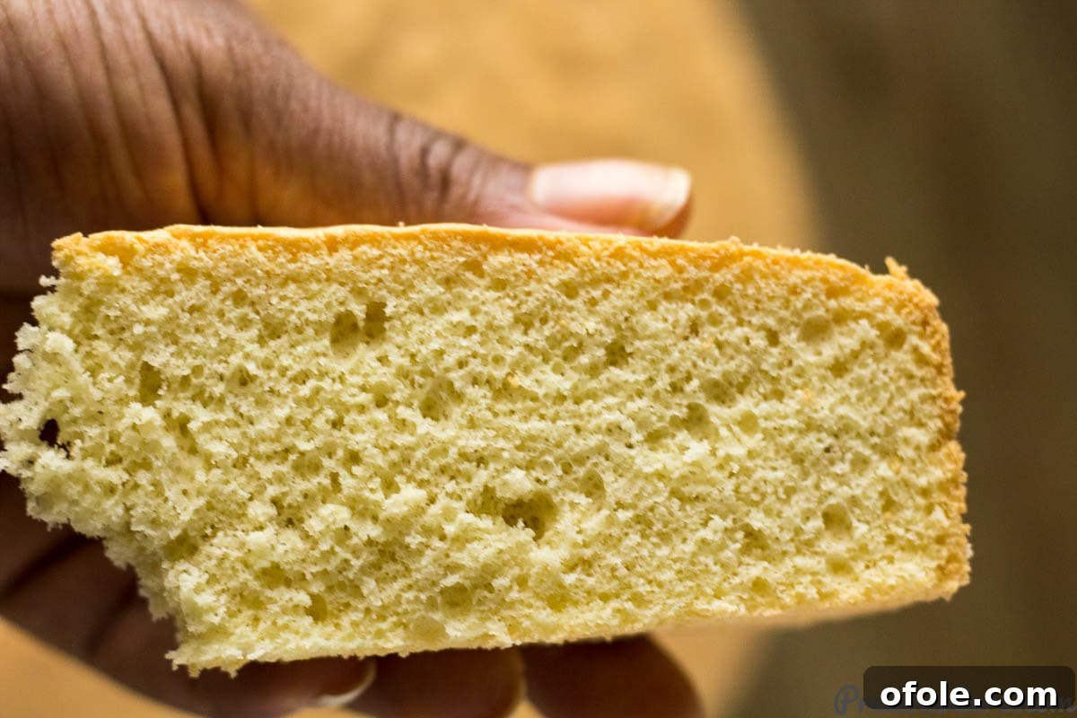Fluffy Vanilla Cake 2 Person holding a generous slice of vanilla sponge cake, showcasing its beautifully light and fluffy texture, golden crust, and inviting appearance.