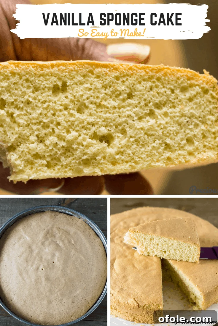 Fluffy Vanilla Cake 10 A charming collage of delectable vanilla sponge cake images, featuring slices, the whole cake, and its airy texture, accompanied by the inviting text "Classic Vanilla Sponge Cake So Easy to Make!" perfect for pinning.