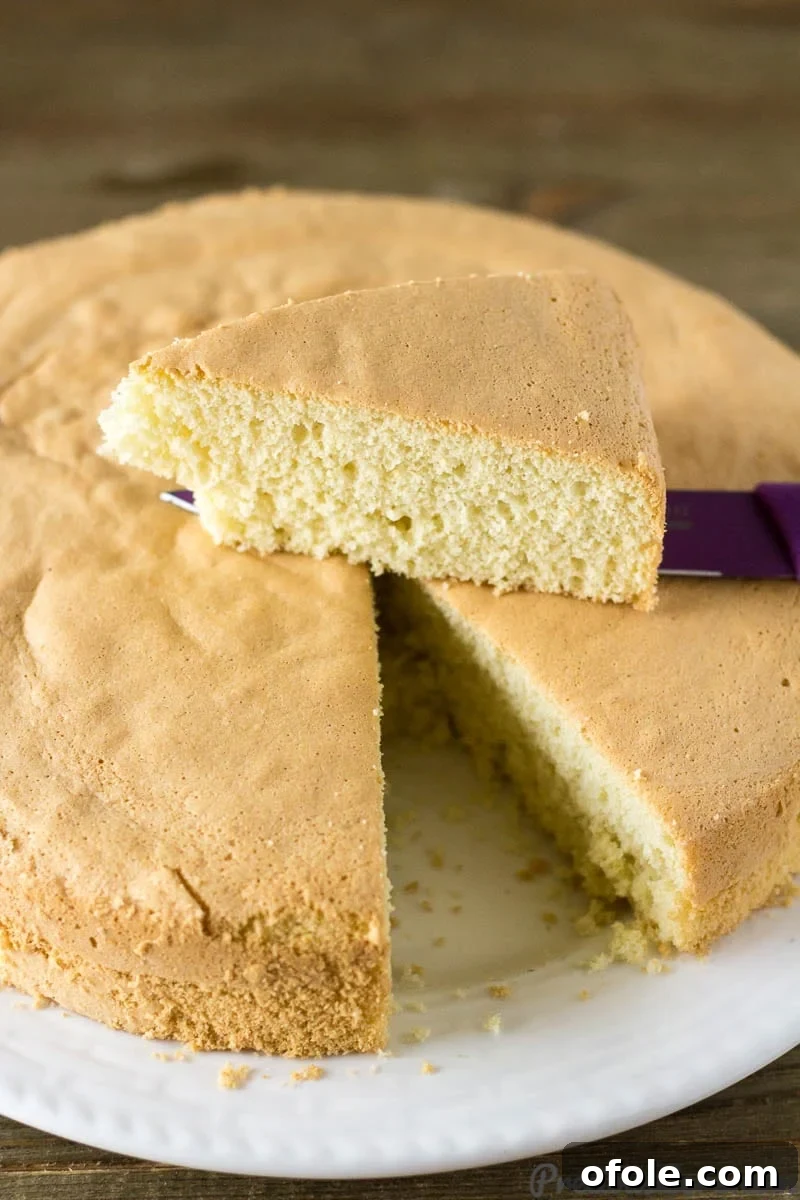 Fluffy Vanilla Cake 3 A freshly baked, perfectly golden Vanilla Sponge Cake presented on a cooling rack, with a single slice delicately removed and placed on a knife, revealing its soft, airy interior.