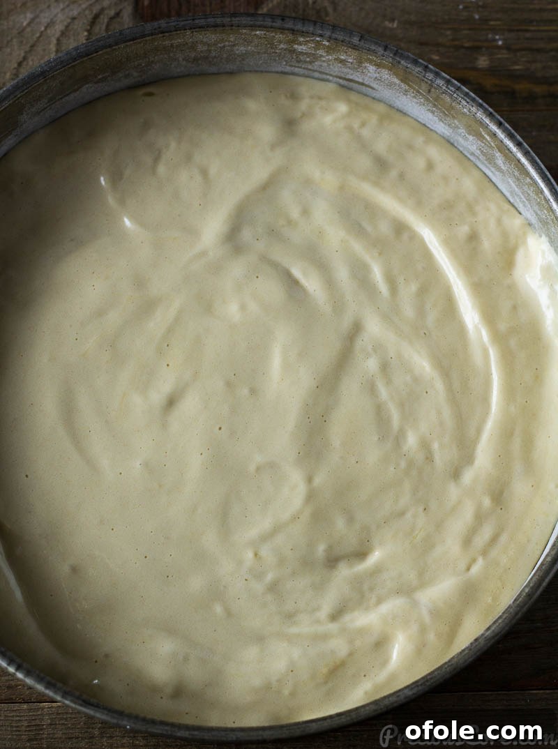 Fluffy Vanilla Cake 7 The light and airy vanilla sponge cake batter has been meticulously poured into a round baking pan, its surface gently leveled, poised for its transformation in the oven.