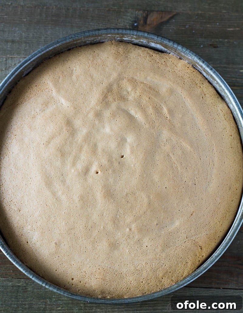 Fluffy Vanilla Cake 8 A freshly baked Vanilla Sponge Cake, golden brown and perfectly risen, resting in its round cake pan, emanating a warm, inviting aroma.