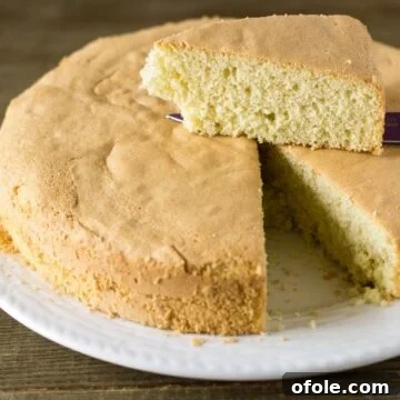 Fluffy Vanilla Cake 9 Perfect Vanilla Sponge Cake Recipe