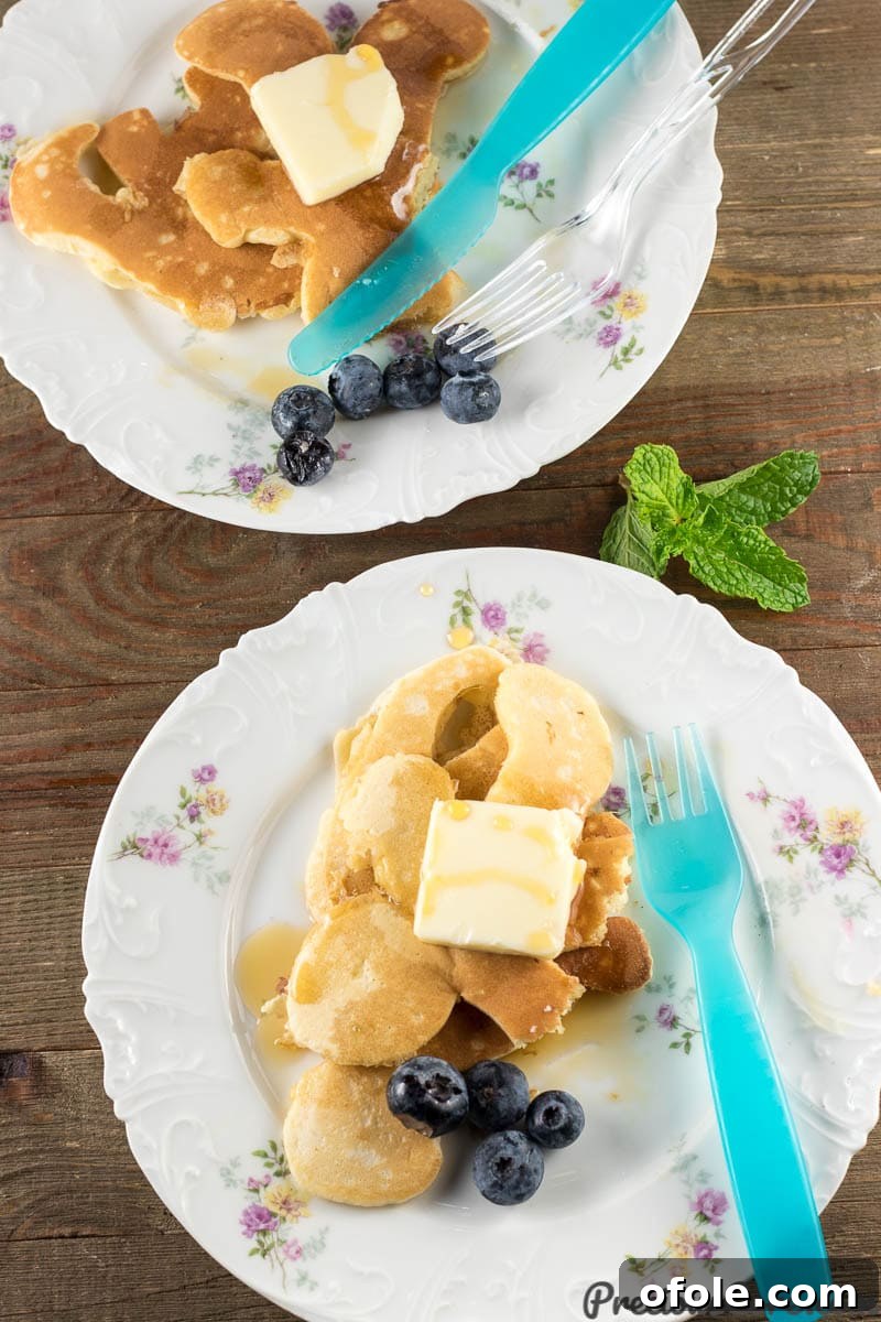 Delicious Kids Pancake Recipe Winner Inside 7 Pancakes for Kids with Blueberries - a healthy topping