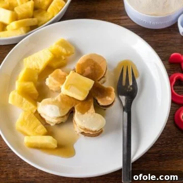Delicious Kids Pancake Recipe Winner Inside 9 Pancake Recipe for Kids