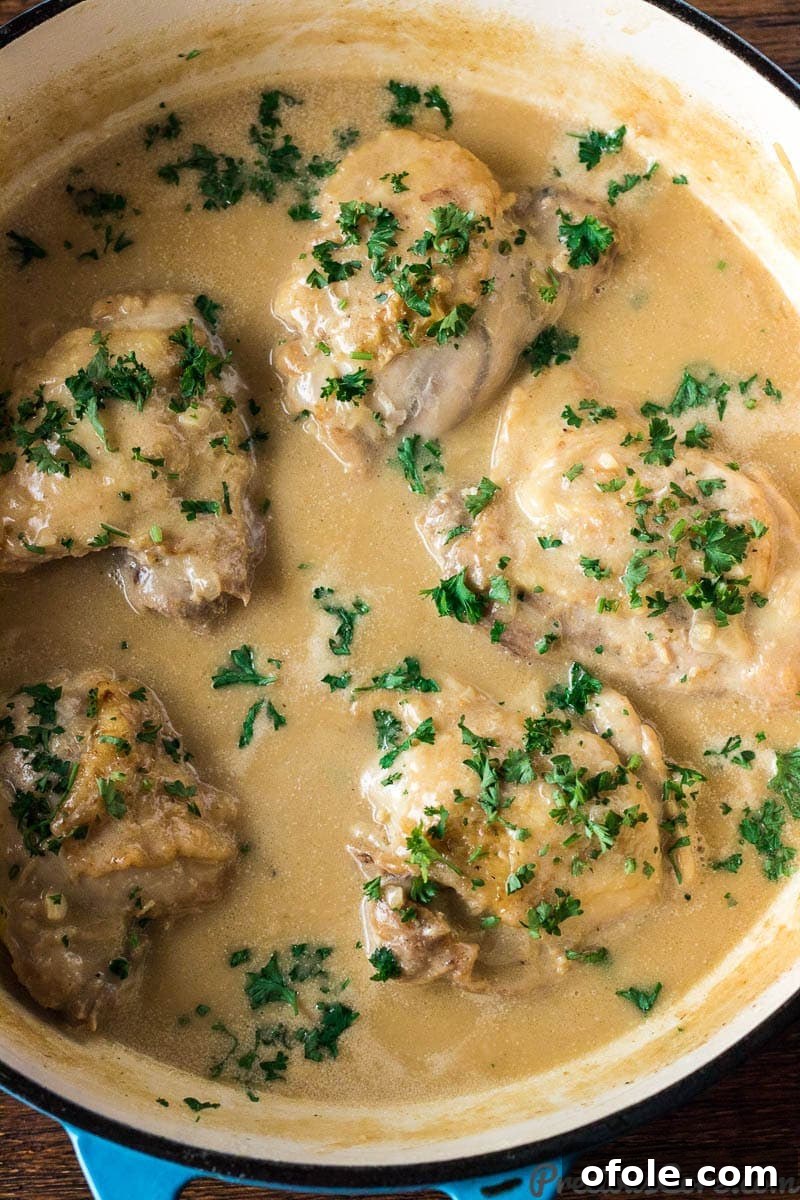 Chicken in White Sauce simmering in a pot, ready to be served.