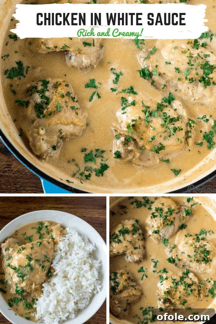 Creamy Chicken in White Sauce in a cast iron braiser, ready to be served.