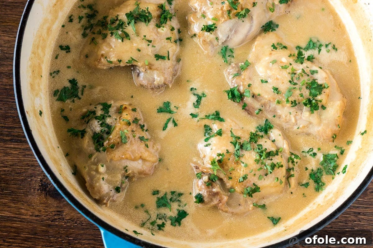 Finished Chicken in White Sauce, creamy and garnished with parsley.