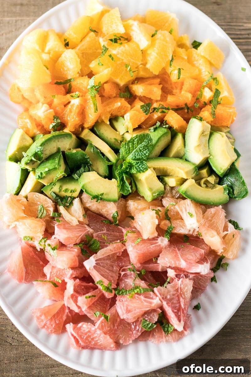 A beautifully arranged Citrus Salad with Avocado on a pristine white plate, showcasing vibrant colors and fresh ingredients.