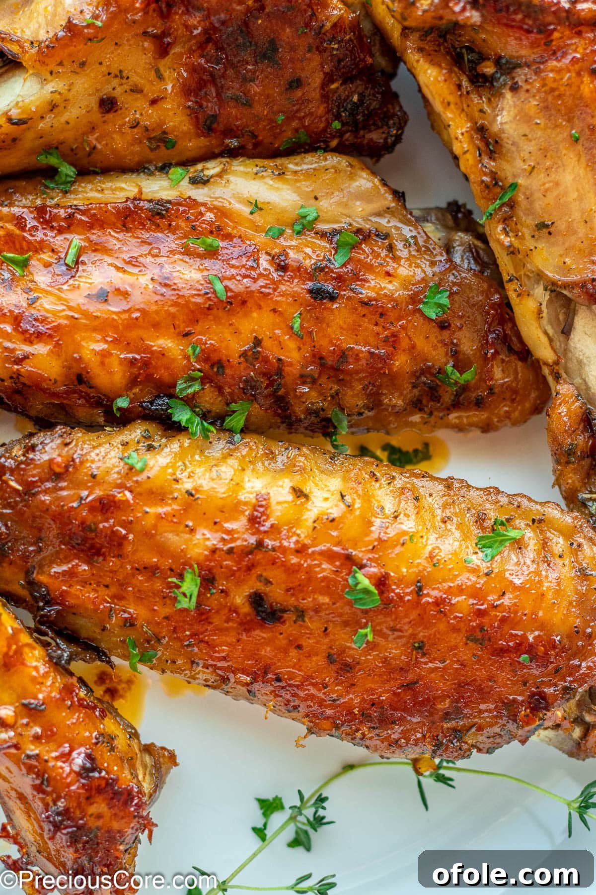 Golden Baked Turkey Wings 2 Golden-brown Oven Baked Turkey Wings in a white bowl, garnished with fresh herbs.
