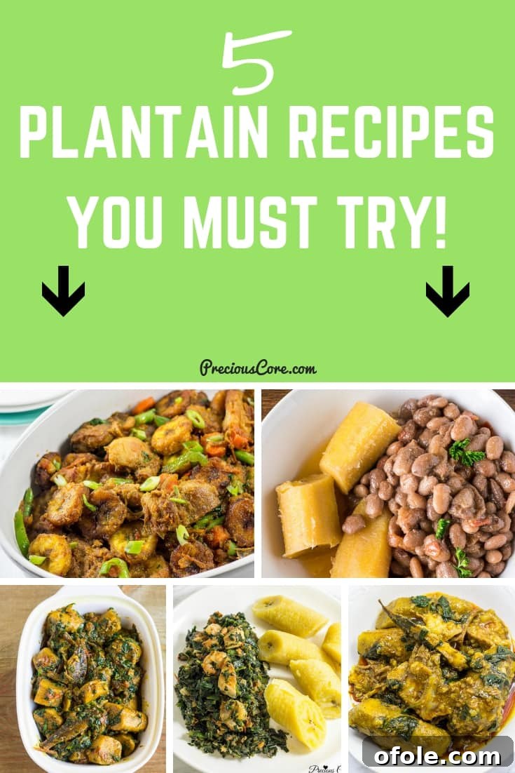 5 Plantain Recipes to try! #Plantain #PreciousCore