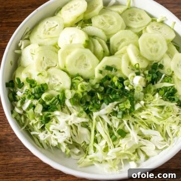 Ultimate cabbage salad, a wholesome recipe.