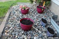 THINGS ARE HAPPENING: I PLANTED A GARDEN