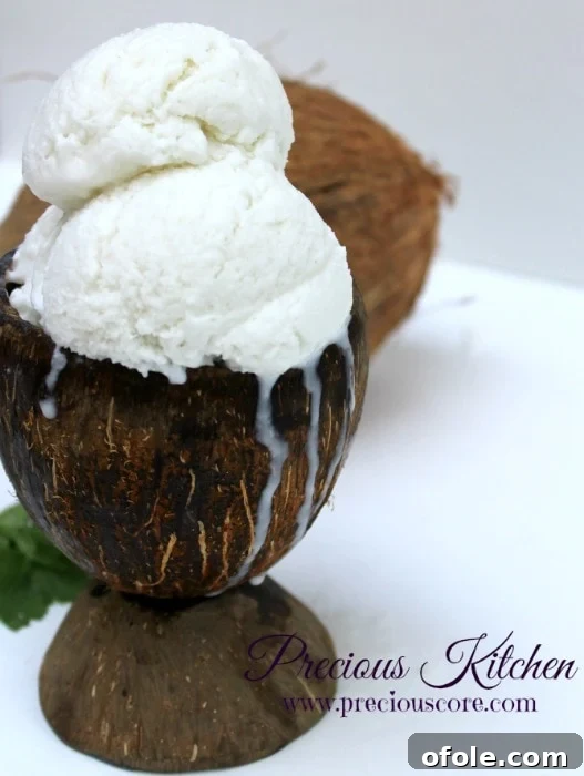 Scoop of creamy coconut ice cream