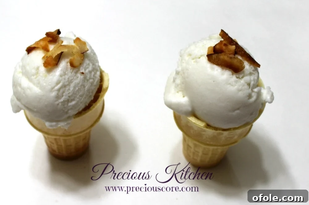 Coconut ice cream with toasted coconut flakes as topping