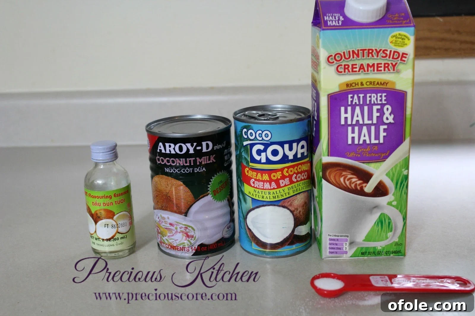 Ingredients for coconut ice cream
