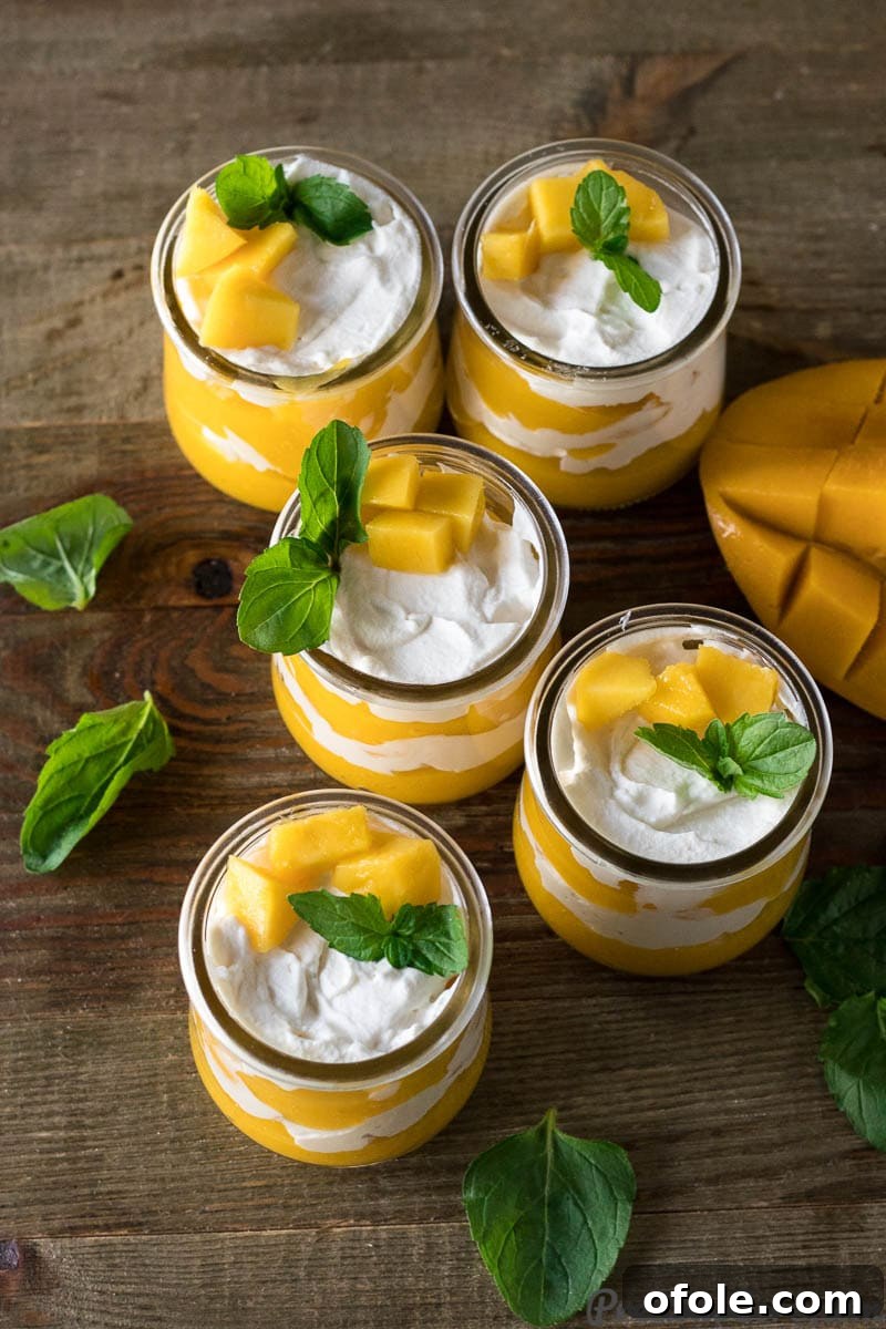 Velvet Mango Indulgence 2 Cups of Mango Cream