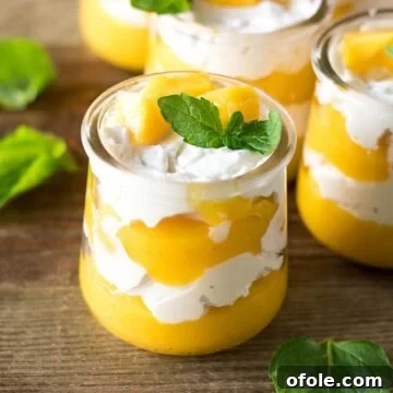 Velvet Mango Indulgence 8 Cups of mango cream.