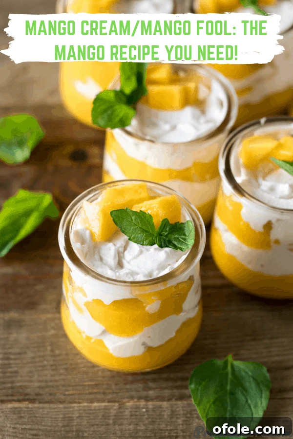 Velvet Mango Indulgence 9 Picture of Mango Cream Cups