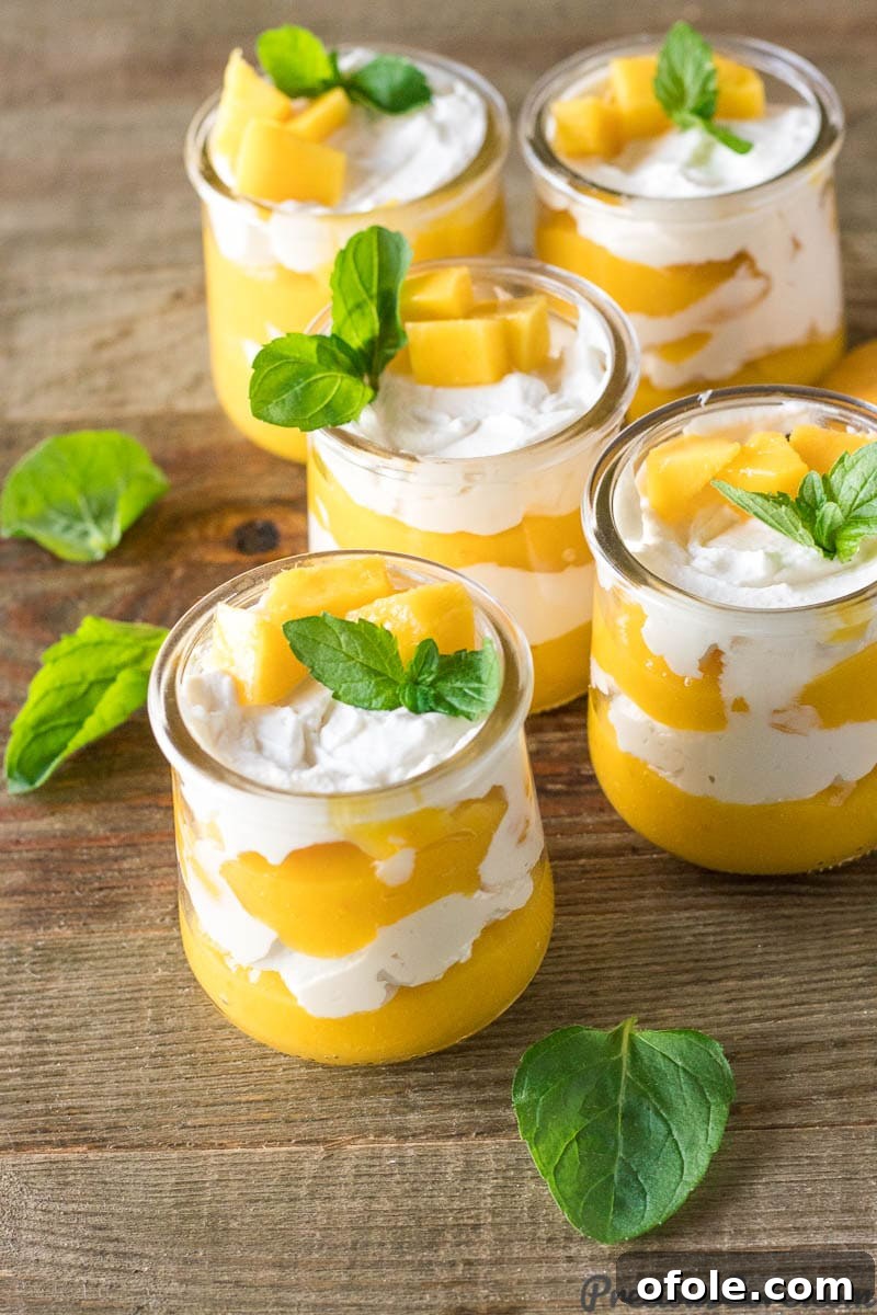 Velvet Mango Indulgence 3 Cups of Mango Cream