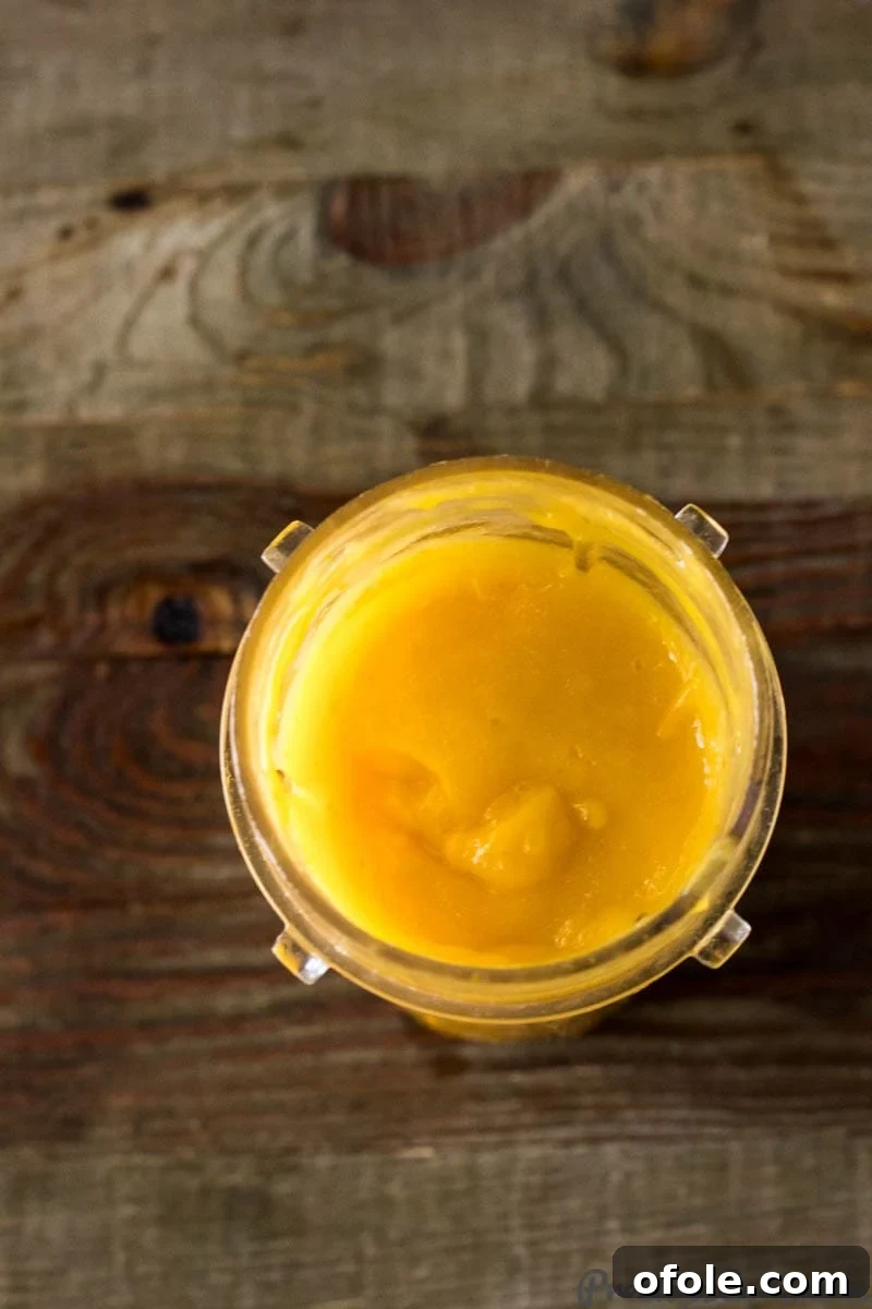 Velvet Mango Indulgence 5 Mango Puree in a small blender jar.
