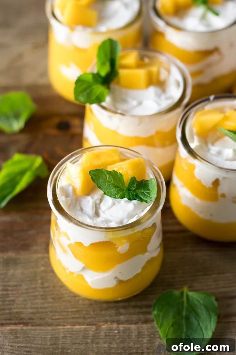 Velvet Mango Indulgence 7 Garnished Mango Cream