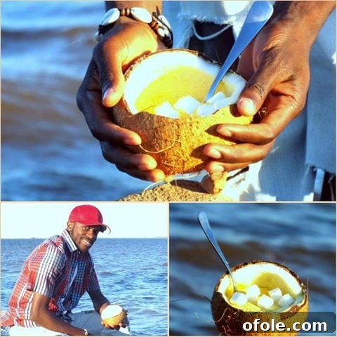 A simple yet comforting bowl of Cameroonian garri and sugar, a popular snack