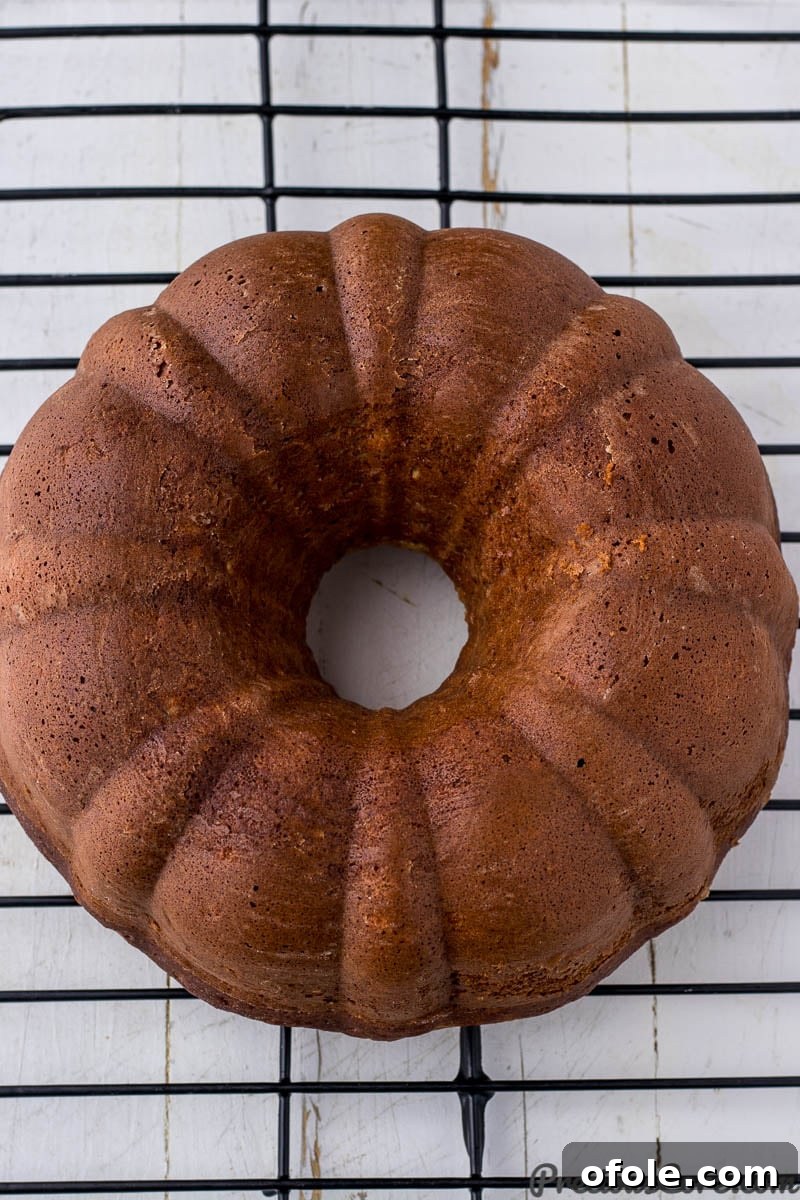 Cake in a bundt pan