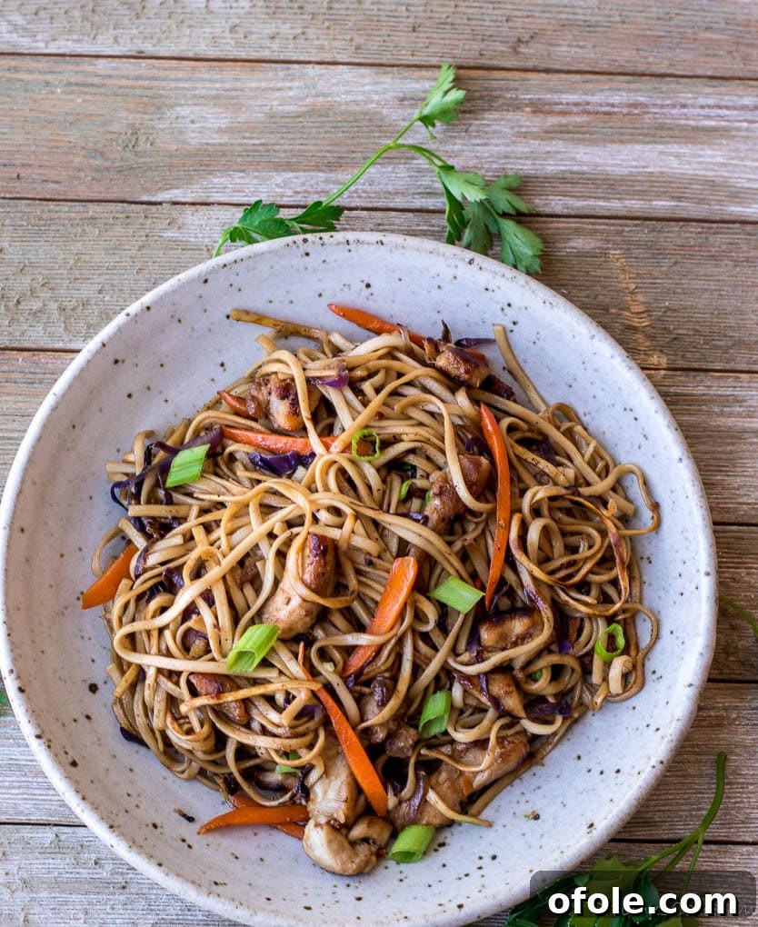 My Latest Chapter 13 Noodle stir fry in a bowl.