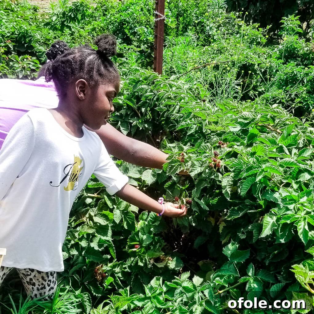 My Latest Chapter 10 Children reaching into a berry bush.