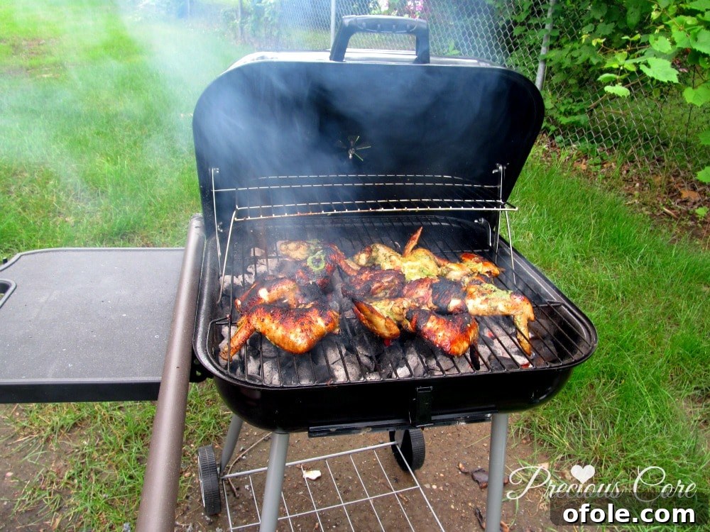 Assortment of grilled chicken pieces beautifully arranged on a platter, ready for seasoning