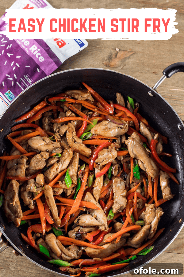 Quick Chicken Stir Fry 7 The finished Easy Chicken Stir Fry in a pan, colorful and ready to be served.
