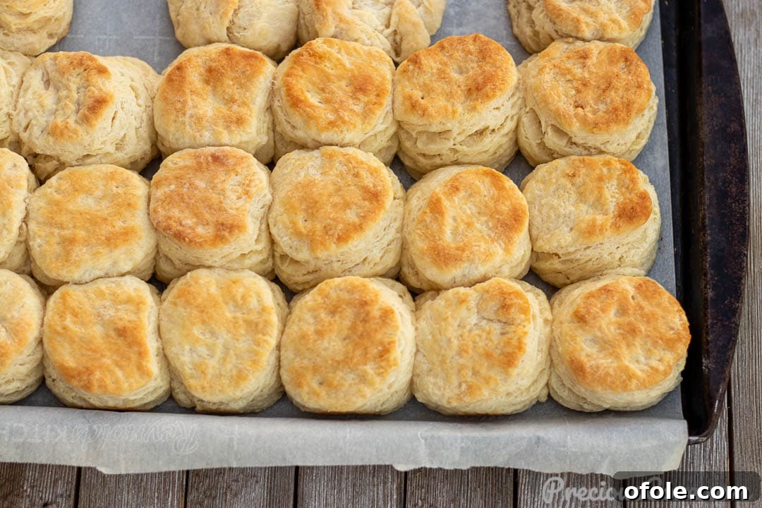 Close-up of baked, golden buttermilk biscuits with visible flaky layers, showcasing the perfect texture.