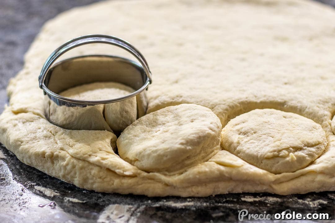 A hand using a biscuit cutter to cut out round shapes from rolled-out biscuit dough on a floured surface.