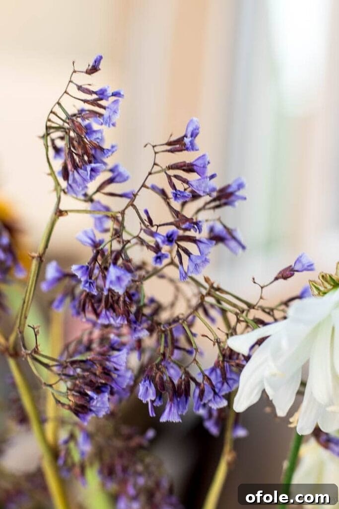 The Journey to Self-Forgiveness 2 Small purple flowers in garden.
