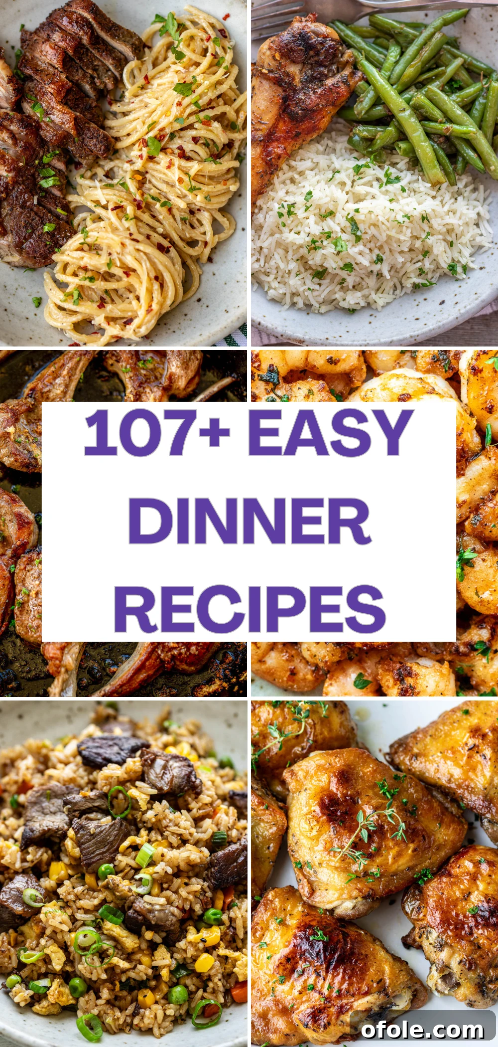 Pictures of various easy dinner recipes for the family, including chicken, pasta, and stir-fries.