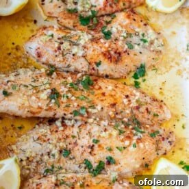 4 baked tilapia fillets in a pan, glistening with garlic butter.