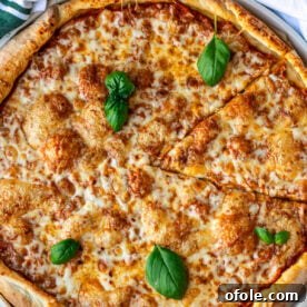 A cheese pizza on a round pizza tray, garnished with basil leaves, fresh from the oven.