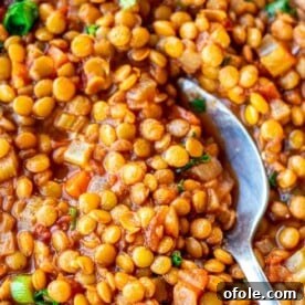 Spoon digging into a bowl of hearty Lentil Stew, a nutritious vegetarian option.