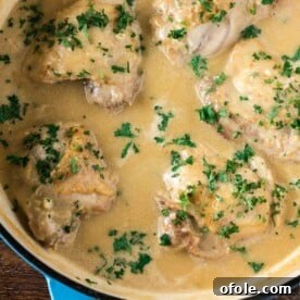 Chicken in White Sauce in a cast iron braiser.