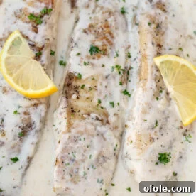Fish in white sauce with lemon slices, a delicate and quick seafood dinner.
