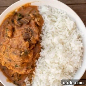Peanut Stew and Rice in Bowl, a comforting African dish.
