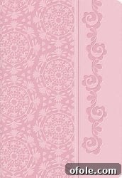 6 Summer Dreams I'm Making Happen 9 Pink Devotional Bible for Women